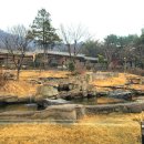 웅담2농장 | 청주 여행 중학생 아이와 가볼만한곳 청주동물원 동물 생태해설 후기