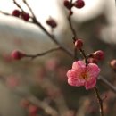 순천매산여자고등학교 이미지