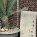 더머물다 이미지