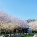 서홍동-11 이미지