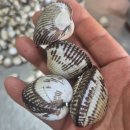 올바른 식탁 이미지