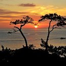 CU 정동진모래시계점 이미지