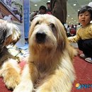 달성공원관리사무소 이미지