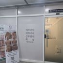 뷰티선
