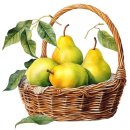 화성반월중학교 이미지