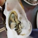 금강장어회해산물전문점 이미지