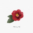 제주모담