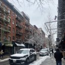 해든뷰 호스텔 | 뉴욕 DAY 6 : 브루클린 브릿지 &amp; Now Now NoHo 후기