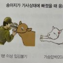 강옥축사 이미지