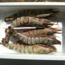 (주)석하 이미지