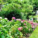 벌막공원 이미지