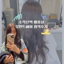 수락산역 미용실 실패없는 인생컬러 애쉬브라운 모먼트헤어 한결원장님<노원역 염색>