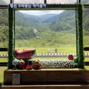 하이원PC게임 | 🚡 정선 가리왕산 케이블카｜올해 마지막 운행? 꼭 가봐야 할 강원도 명소