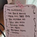 노노씨스터즈 이미지