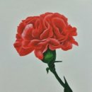 오봉채색연구소
