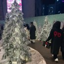 팍마켓 | 부산 | 크리스마스마켓 주말 방문 후기 | 부산 산타마을 | 영화의 전당 | 부산 영화의전당 주차