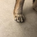 소호한의원 이미지