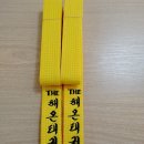 용인대 국기 태권도장 이미지