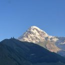 조지아팜 | [조지아] 2025.06.28