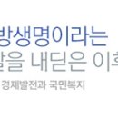 [서울,경기][삼성생명(주)] 삼성생명 FC 신인 . 경력자를 모십니다 이미지