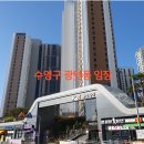 영등 제일맨션 101동 앞 놀이터 | 수영구 광안동 임장