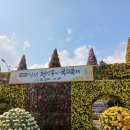 파도향기 | 가을 향기로 물든 익산, 마음이 머문 전북 여행 익산국화축제 후기