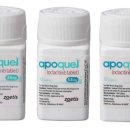 강동동물약국 이미지