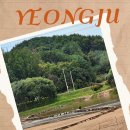 용혈폭포 | 영주 무섬마을 외나무다리 | 내성천이 품은 가을 풍경, 느림의 시간 여행