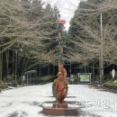 절물생태관리소 (절물자연휴양림) 헤드라인제주
