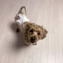 주인아 미용하고가 이미지