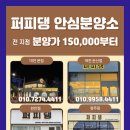 퍼피댕 강아지분양 안심분양소 청주점 말티푸미니비숑토이푸들 이미지