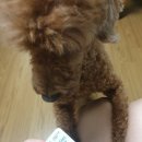 세종코코약국 이미지