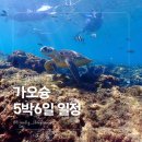 관산시장 | 대만 가오슝 소류구 컨딩까지 5박6일 일정 맛집 가볼 만한 곳 숙소 추천