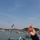 씨사이드모텔1 이미지