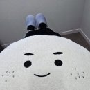 와이레이디여성의원 이미지