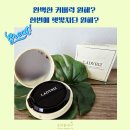 레이디비즈 시티걸 무드 컬렉션 컨실러 쿠션 SPF 50+/PA+++ 실제 사용 후기