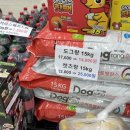 수입브랜드 죽동점 이미지