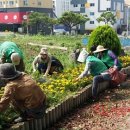 대천동-6 이미지