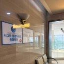 잠실 정형외과 팔꿈치 삼각근 통증 프롤로 주사 후기(헬린이 필독)
