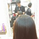 마젤헤어 이미지