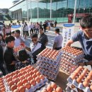 용인양계 이미지