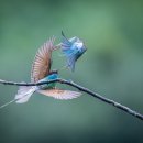 삼성동물병원 이미지