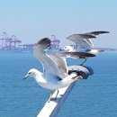 코아솔루션 이미지