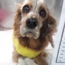 해와달동물병원 이미지