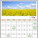 김일태연구소 이미지