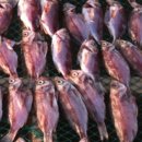 주문 민박 이미지