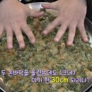 수원-1318 티스토리
