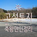 송지호부동산중개사무소 이미지
