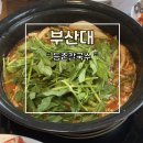 등촌칼국수 - 마포구 홍익로 15 | 부산대 현지인 로컬 맛집 가성비 원탑 등촌칼국수 추천 방문 후기