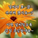 헌 남편 헐값에 팜니다 이미지